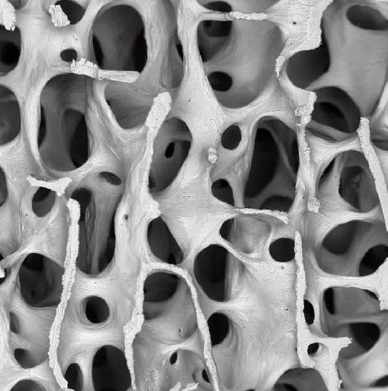 These electron microscopic images of human body will astonish you