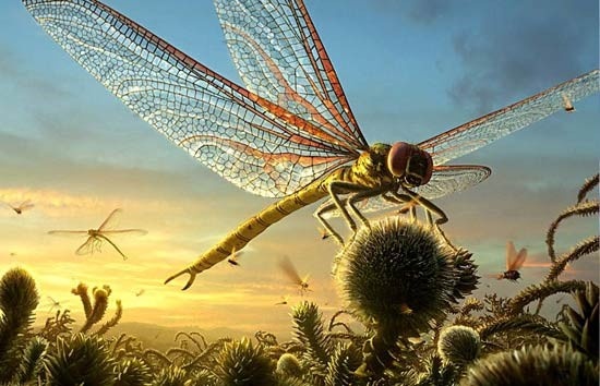 What made giant dragon flies in Carboniferous? | Amazing Zoology