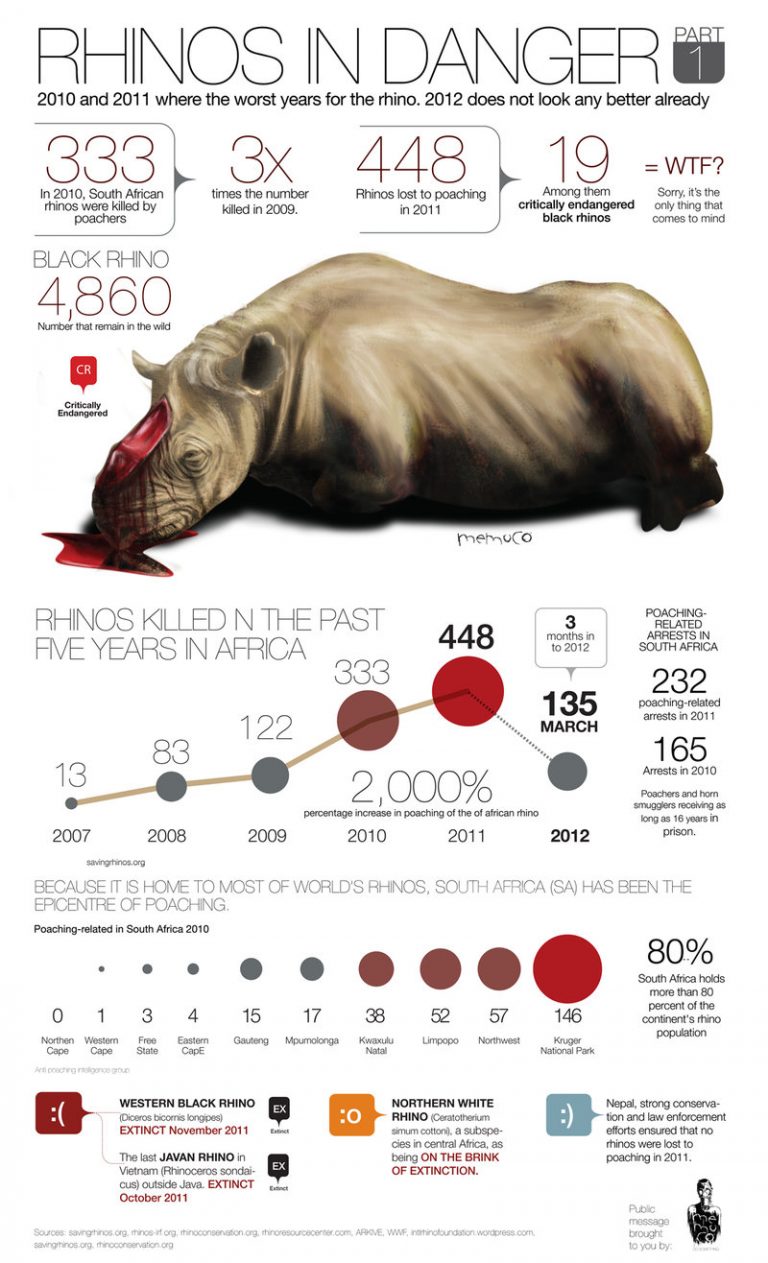 Rhinos in Danger Part 1 - Infographic | Amazing Zoology