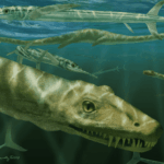 Dinocephalosaurus orientalis depicted among a shoal of the large, predatory actinopterygian fish.
