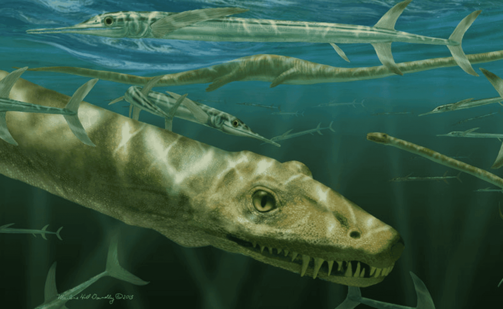 Dinocephalosaurus orientalis depicted among a shoal of the large, predatory actinopterygian fish.